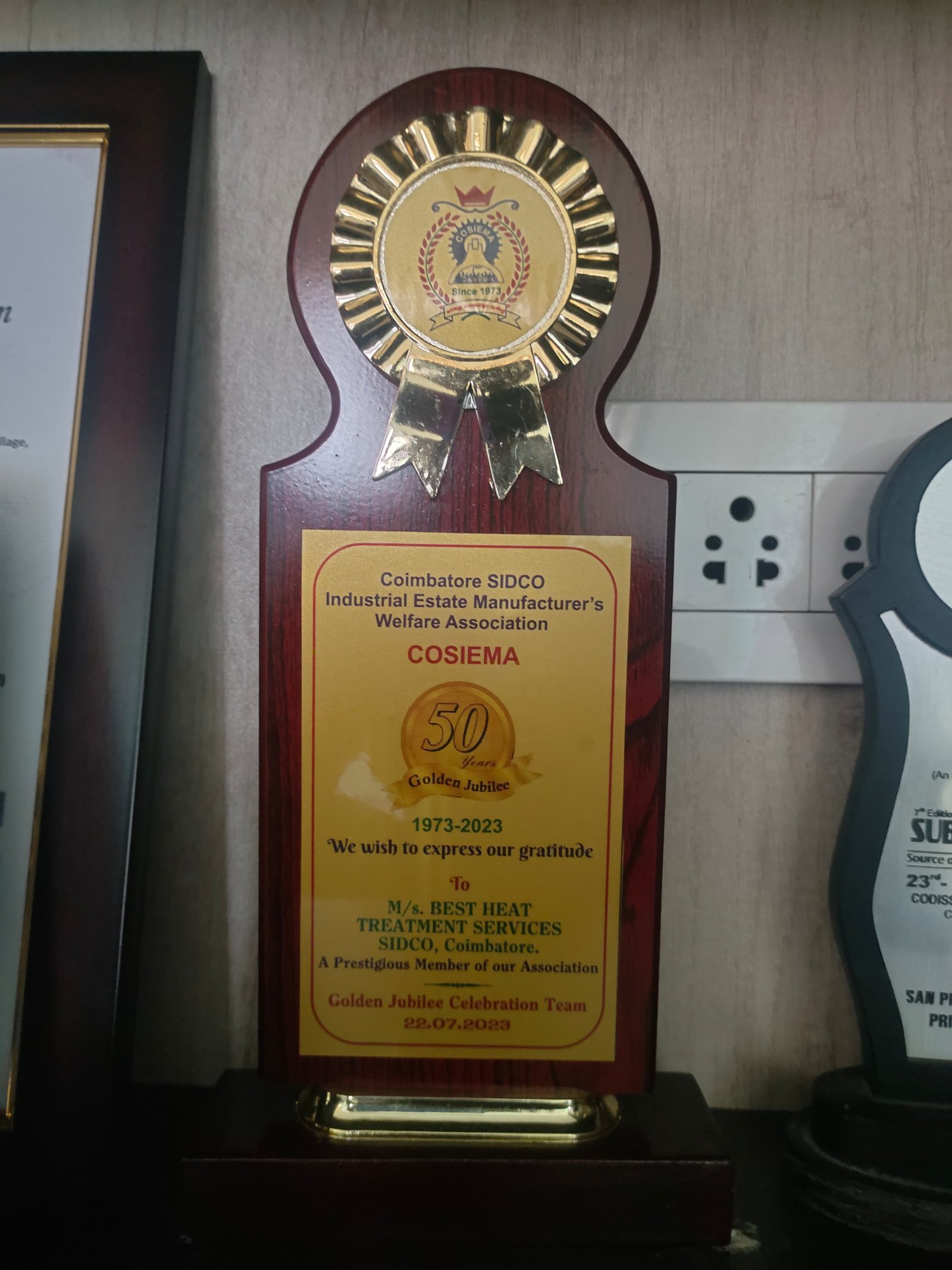 Cosiema Certificate
