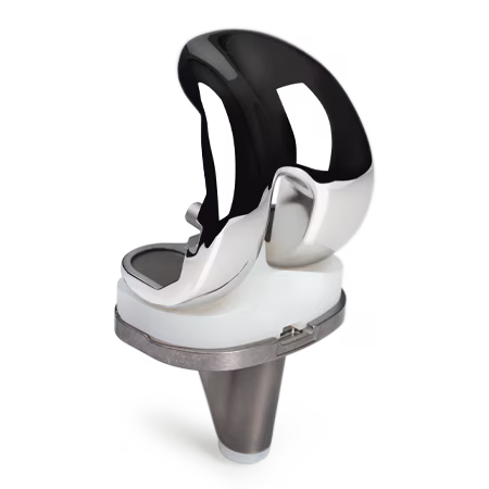 Knee Prosthesis