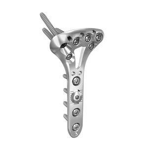Double Row Volar Plate