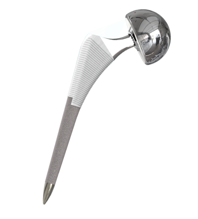 Hip Joint Replacement