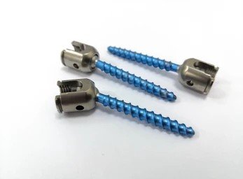 Screw