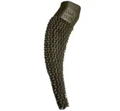 Rasp